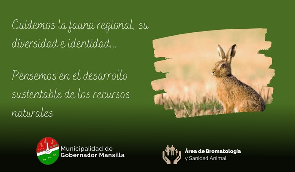 WhatsApp-Image-2023-03-13-at-10.15.52